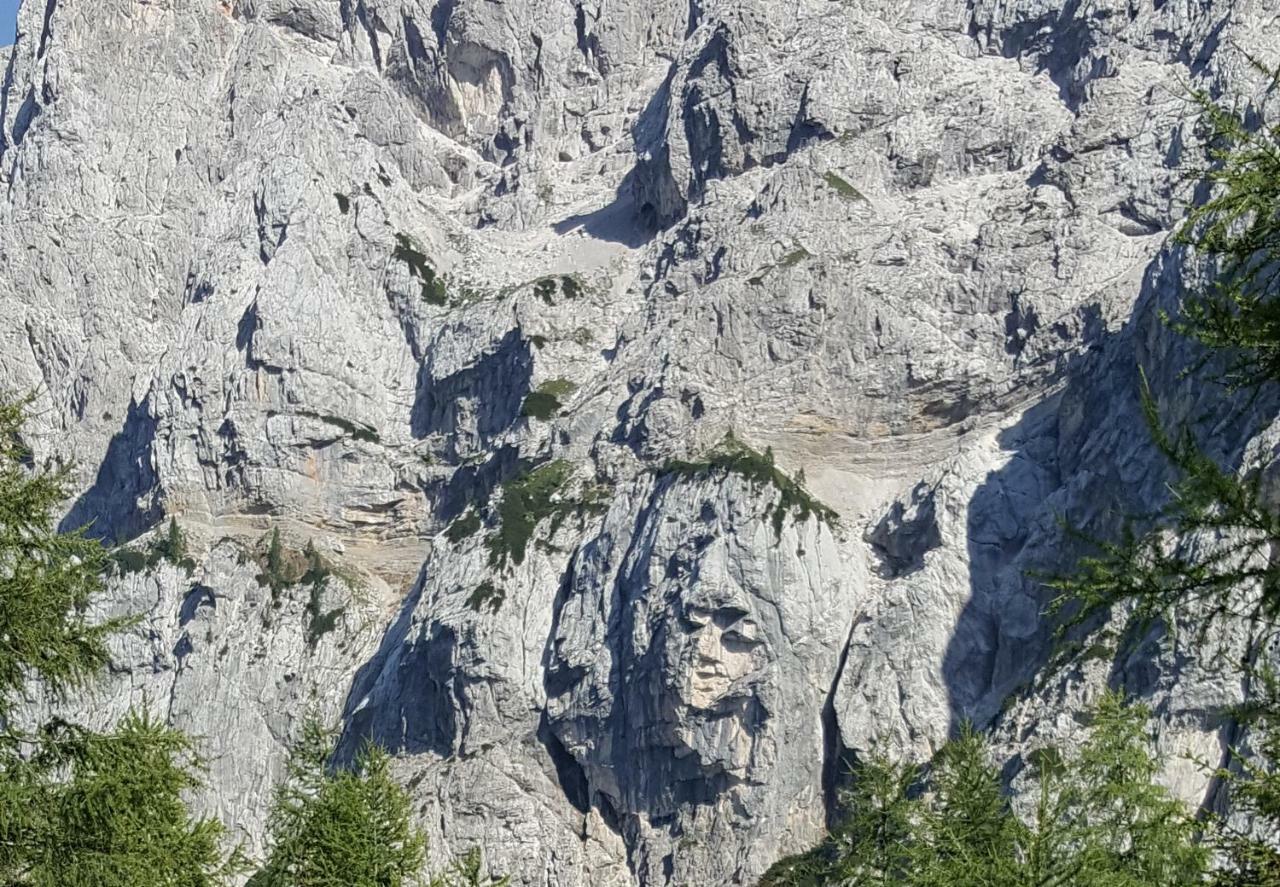 Apartma Manca Kranjska Gora Zewnętrze zdjęcie