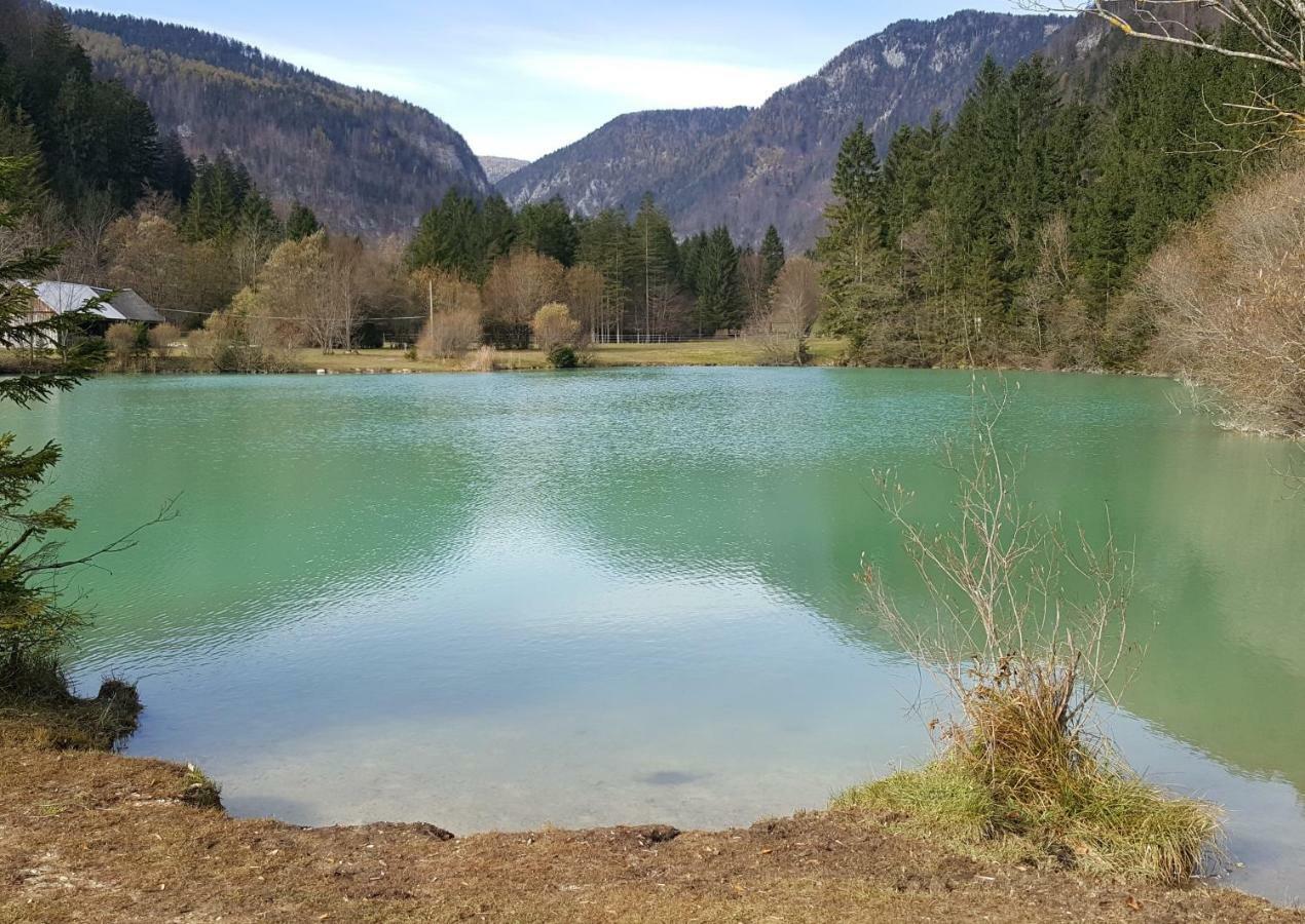 Apartma Manca Kranjska Gora Zewnętrze zdjęcie